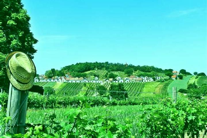 Escorts Koenigsbrunn im Weinviertel, Austria — Local Companions