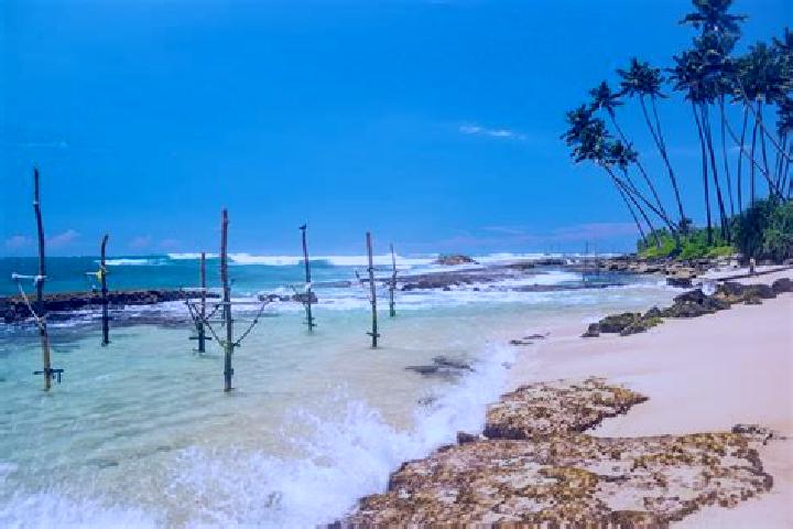 Escorts Koggala, Sri Lanka — Local Companions