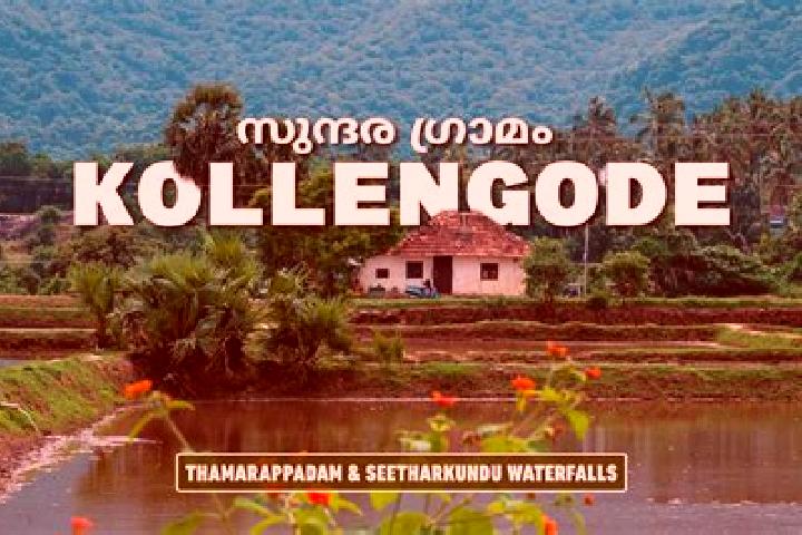 Escorts Kolanukonda, India — Local Companions