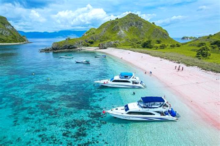 Escorts Komodo, Indonesia — Local Companions