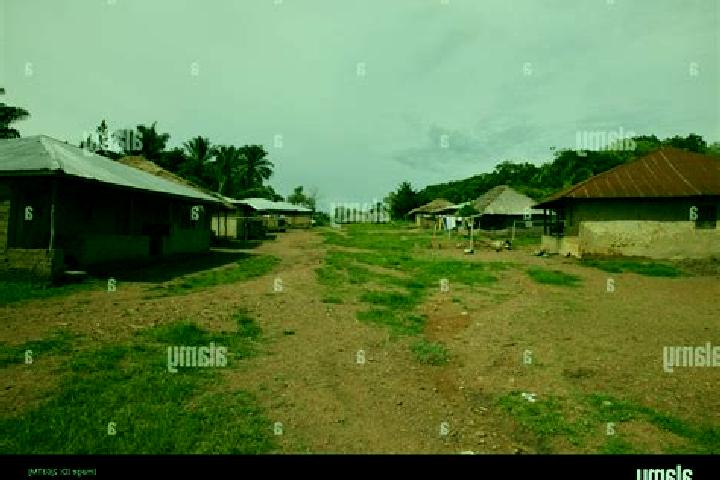Escorts Konakridee, Sierra Leone — Local Companions