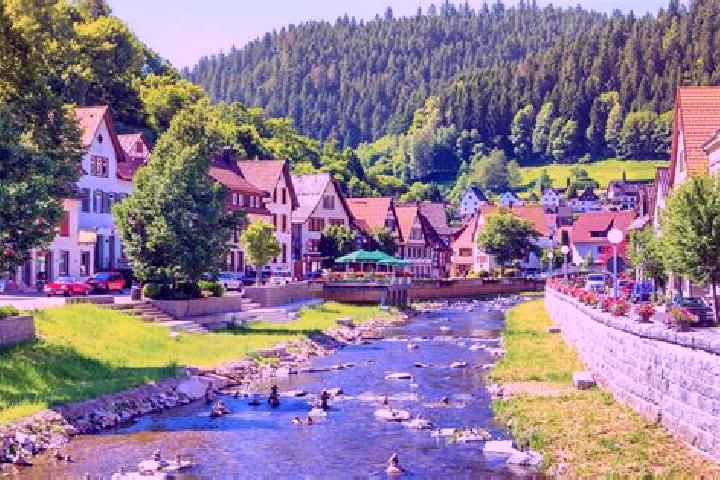 Escorts Konigsfeld im Schwarzwald, Germany — Local Companions
