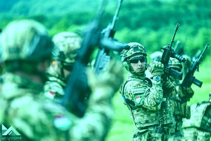 Escorts Korace, Bosnia and Herzegovina — Local Companions