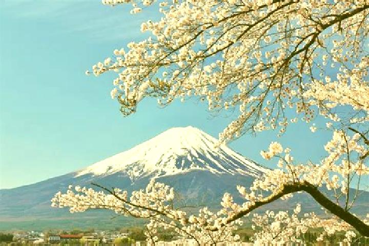 Escorts Koshi, Japan — Local Companions