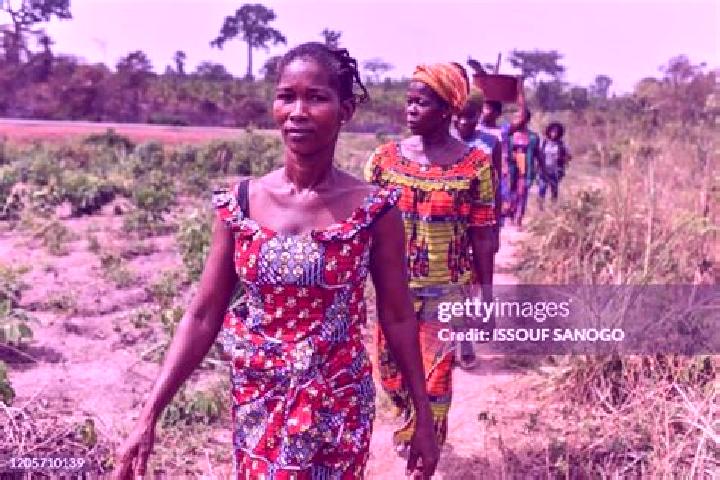 Escorts Kouassi Kouamekro, Ivory Coast — Local Companions