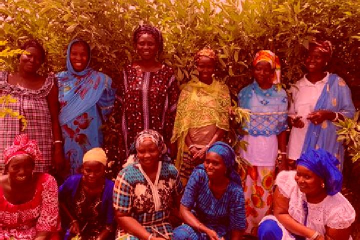 Escorts Koungheul, Senegal — Local Companions
