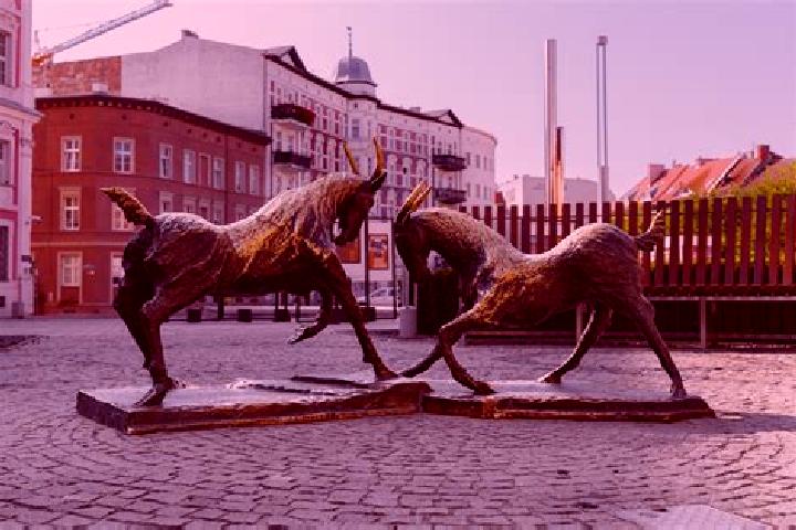 Escorts Kozieglowy, Poland — Local Companions
