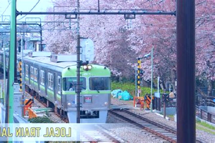 Escorts Kozu, Japan — Local Companions