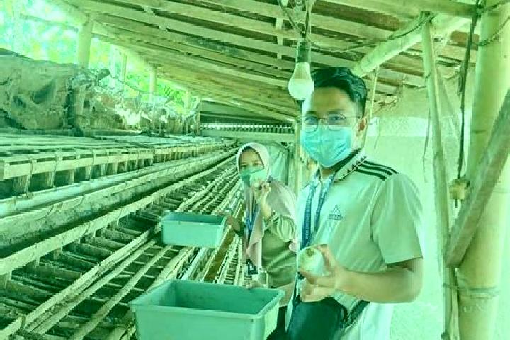 Escorts Krajan Lor Balung Kulon, Indonesia — Local Companions