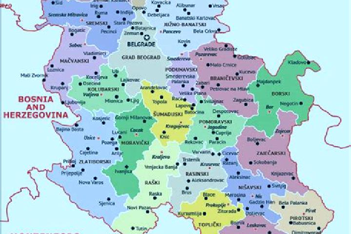 Escorts Krcedin, Serbia — Local Companions
