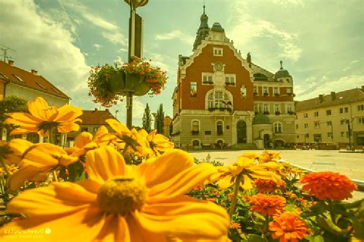 Escorts Krizanovice, Czech Republic — Local Companions
