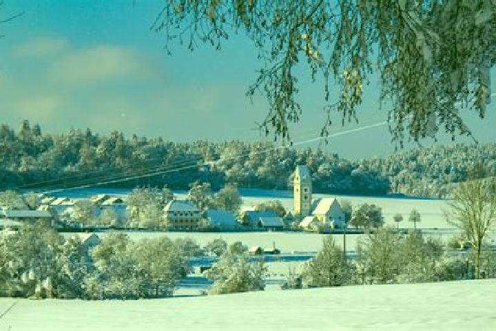 Escorts Krumbach, Austria — Local Companions