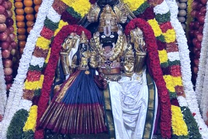Escorts Kumarapalayam, India — Local Companions
