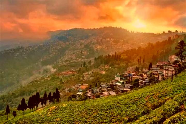 Escorts Kurseong, India — Local Companions