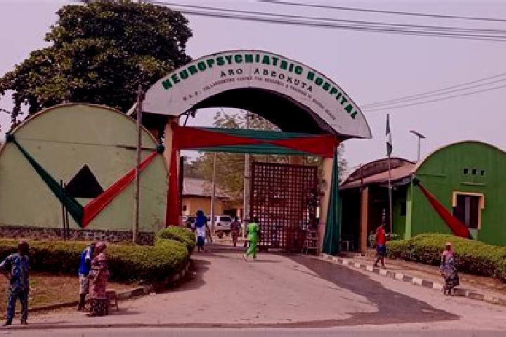 Escorts Kware, Nigeria — Local Companions