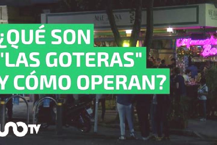 Escorts La Gotera, Mexico — Local Companions