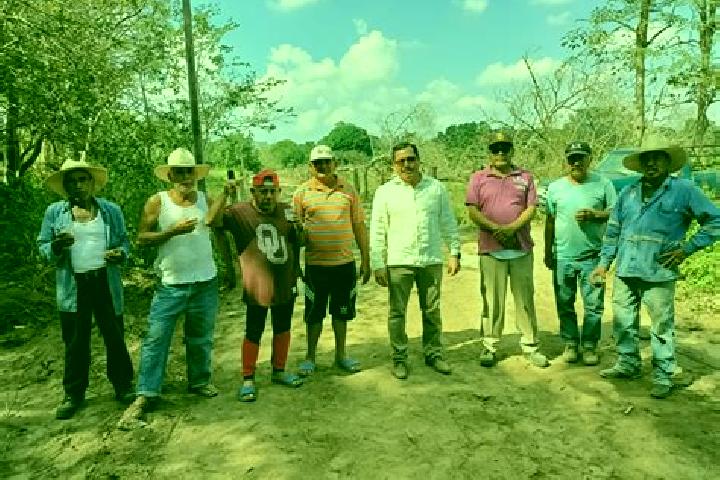 Escorts La Javilla, Mexico — Local Companions