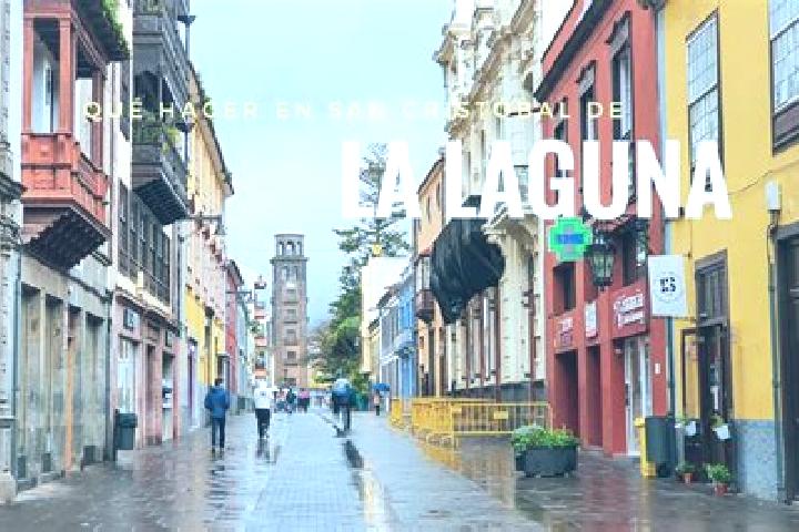 Escorts La Laguna, Mexico — Local Companions