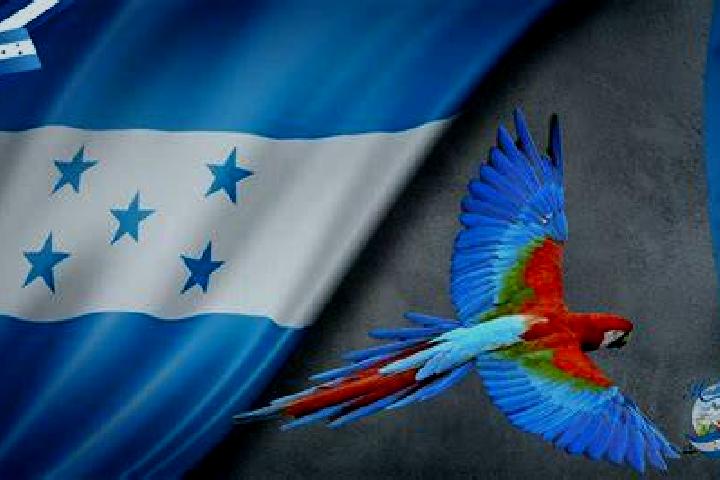 Escorts La Libertad, Honduras — Local Companions