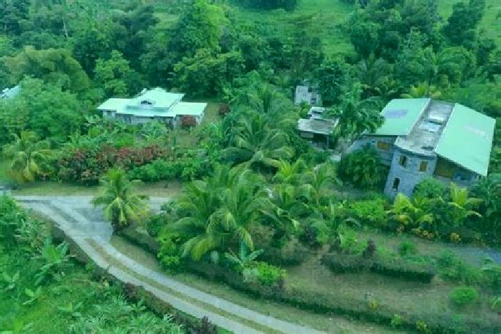 Escorts La Plaine, Dominica — Local Companions