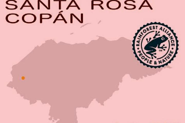 Escorts La Rosa, Honduras — Local Companions