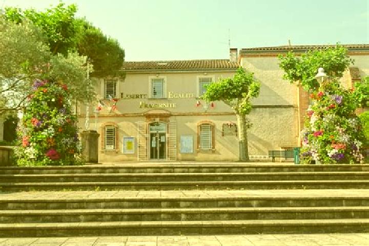 Escorts La Salvetat-Saint-Gilles, France — Local Companions