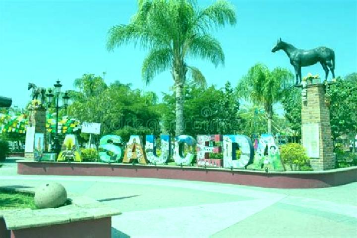 Escorts La Sauceda, Mexico — Local Companions