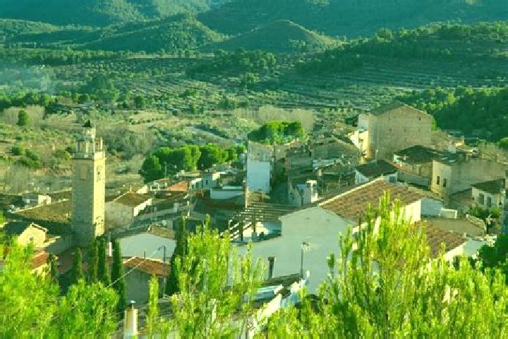 Escorts La Torre de les Macanes, Spain — Local Companions