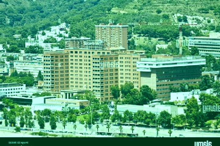 Escorts la Vall d Hebron, Spain — Local Companions
