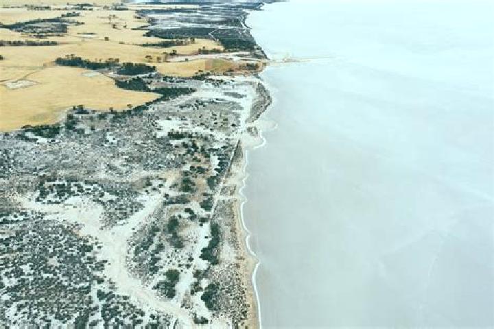 Escorts Lake Grace, Australia — Local Companions