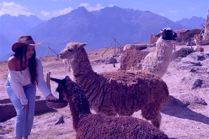 Escorts Lamas, Peru — Local Companions