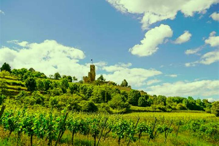 Escorts Landau in der Pfalz, Germany — Local Companions