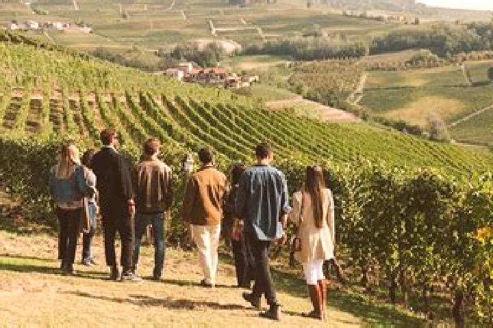 Escorts Langhe, China — Local Companions
