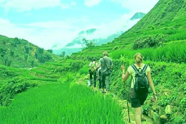 Escorts Lao Chai, Vietnam — Local Companions