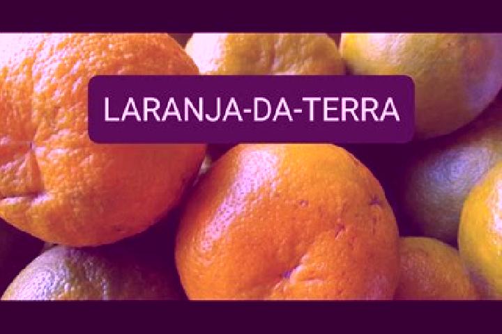 Escorts Laranja da Terra, Brazil — Local Companions