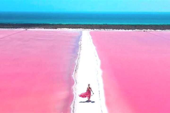 Escorts Las Coloradas, Mexico — Local Companions