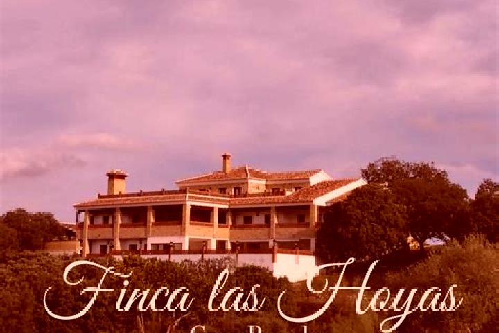 Escorts Las Hoyas Altas, Mexico — Local Companions