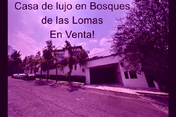 Escorts Las Lomas, Mexico — Local Companions