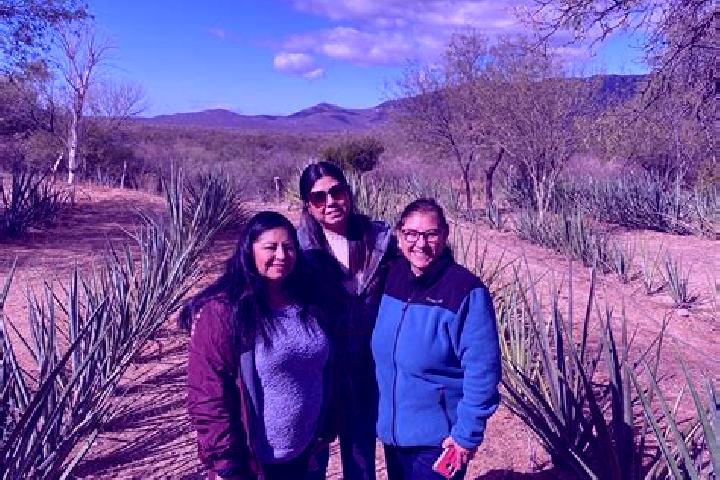 Escorts Las Vinatas, Mexico — Local Companions