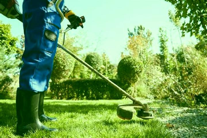 Escorts Lawn, Canada — Local Companions