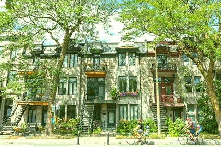 Escorts Le Plateau-Mont-Royal, Canada — Local Companions