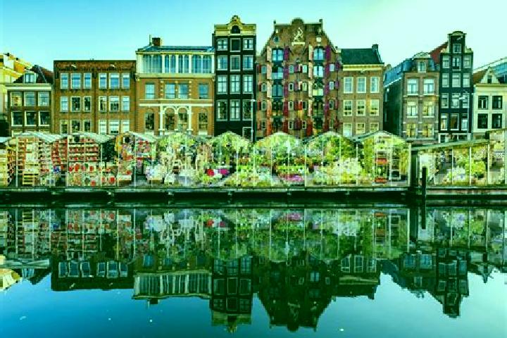 Escorts Leest, Netherlands — Local Companions