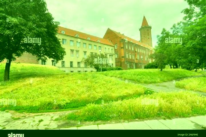 Escorts Legnica, Poland — Local Companions