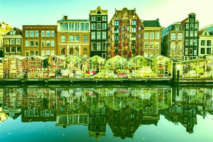 Escorts Leiderdorp, Netherlands — Local Companions