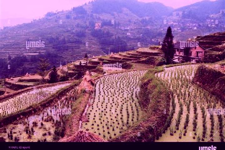 Escorts Leigong, China — Local Companions