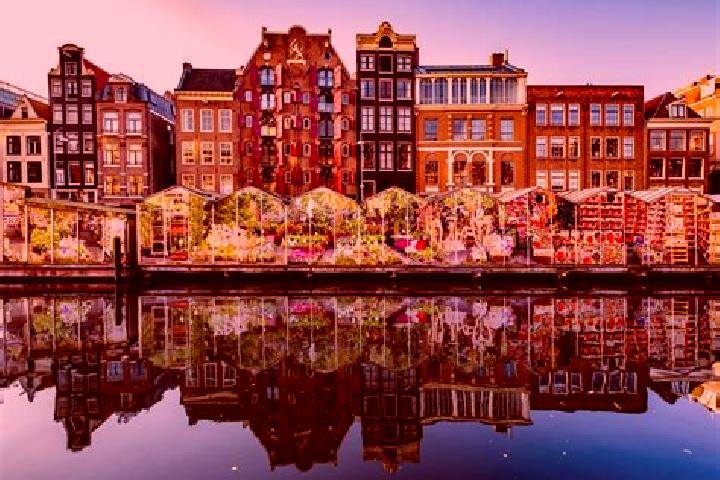 Escorts Leimuiden, Netherlands — Local Companions