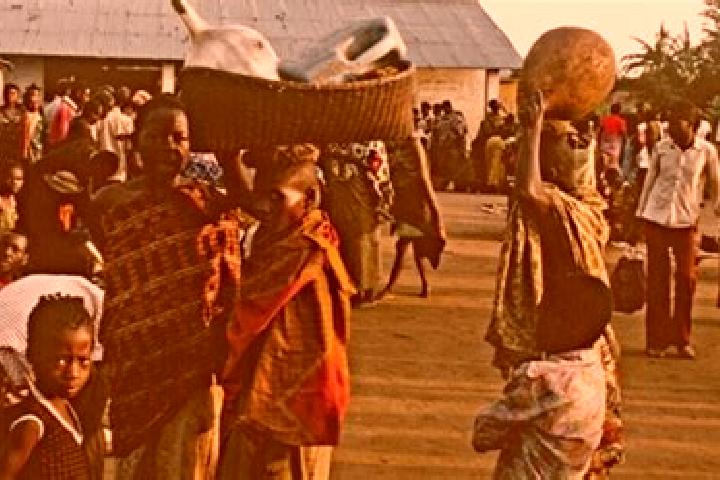 Escorts Lekana, Congo — Local Companions