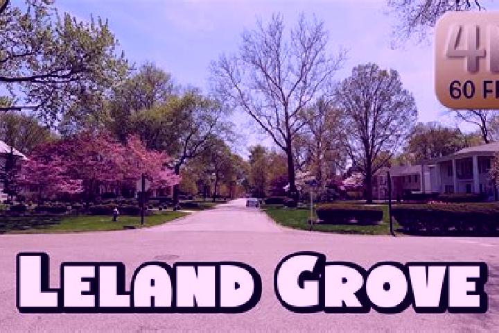 Escorts Leland Grove, United States — Local Companions