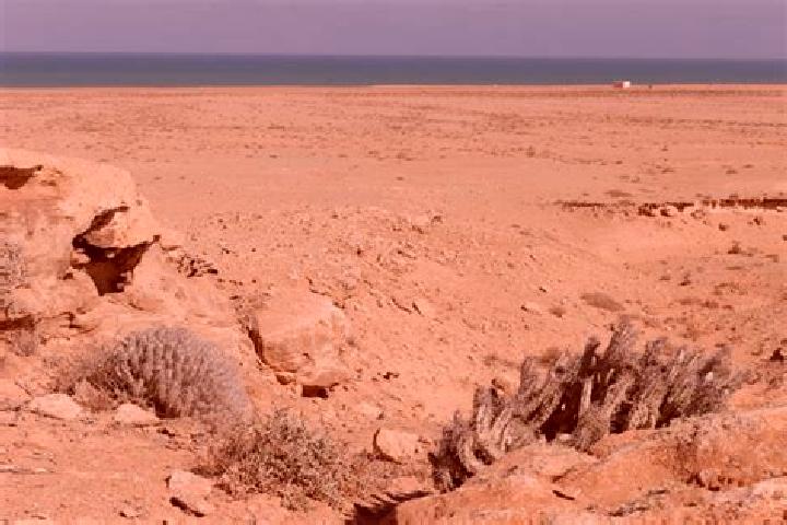 Escorts Lemsid, Western Sahara — Local Companions