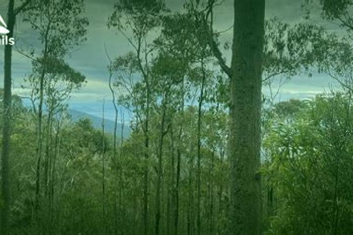 Escorts Lenah Valley, Australia — Local Companions